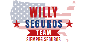 Willy Seguros logo 300